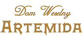 logo artemida