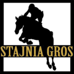 logo-STAJNIA-GROS