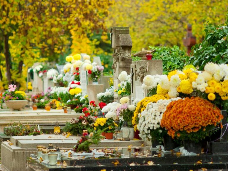 Read more about the article Wszystkich Świętych napędza lokalny biznes. Bez działalności można legalnie dorobić prawie 3,5 tys. zł