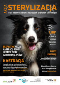 Read more about the article Bezpłatne czipowanie psów do końca listopada