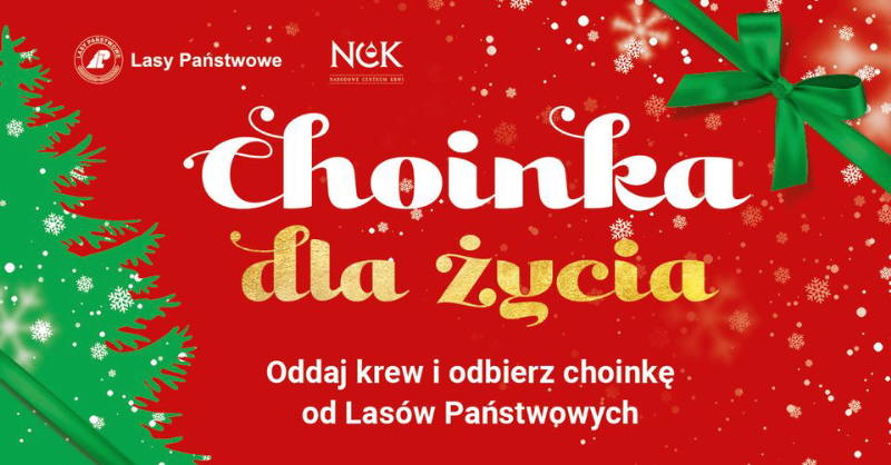 choinka-dla-zycia