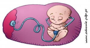 Read more about the article Dziecko w brzuchu widzi, słyszy i czuje