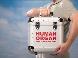 Read more about the article Od śmierci do życia, czyli o transplantacji narządów