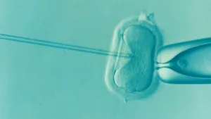 Read more about the article Ruszył miejski program leczenia niepłodności metodą in vitro