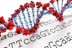 Read more about the article Ekspert: dieta czy używki pozostawiają ślady w DNA
