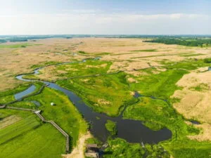 Read more about the article PGE wspiera Magurski Park Narodowy oraz Narwiański Park Narodowy