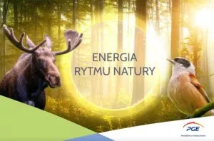 Read more about the article PGE zaprasza do odwiedzania polskich parków narodowych