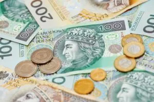 Read more about the article Ponad 77% młodych Polaków deklaruje, że ma oszczędności na tzw. czarną godzinę