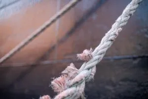 Read more about the article Diagnoza: „rak” i chorować może rodzina