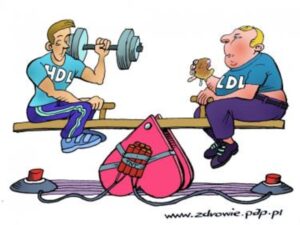 Read more about the article Cholesterol dobry i zły: czy takie rozróżnienie wciąż jest ok?