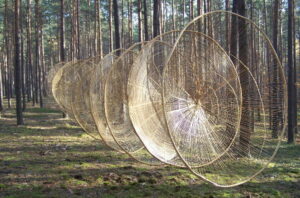 Read more about the article Land art na granicy – warsztaty artystyczne dla dorosłych