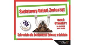 Read more about the article Światowy Dzień Zwierząt w lubelskim schronisku 4.X.