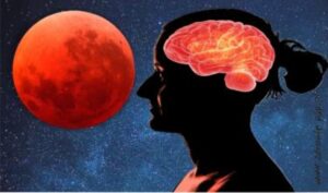 Read more about the article Fakty i mity o kobiecych hormonach