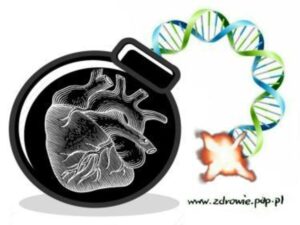 Read more about the article Więcej niż połowa Polaków ma podwyższony cholesterol