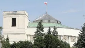 Read more about the article Polacy chcą rządowych ułatwień dla prowadzenia badań z udziałem psychodelików w celach medycznych