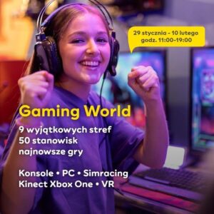 Read more about the article Gaming World – Ferie w SKENDE