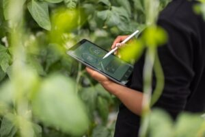 Read more about the article E.ON inwestuje w Polsce w zieloną energię