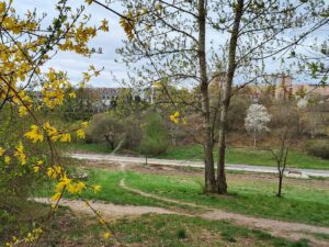 Read more about the article Nowe chodniki i drogi rowerowe  w wąwozie Rury