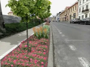 Read more about the article Zazielenią się kolejne ulice w centrum Lublina