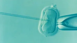 Read more about the article Program bezpłatnego in vitro już dostępny