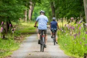 Read more about the article Czy wypożyczanie stanie się drugą naturą Polaków – analiza OLX
