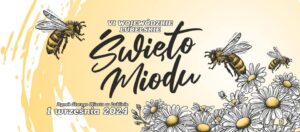 Read more about the article VI Wojewódzkie Lubelskie Święto Miodu – Stare Miasto 1.IX.