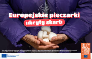 Read more about the article Dlaczego Polacy oszaleli na punkcie pieczarek?