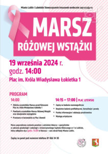 Read more about the article „Marsz Różowej Wstążki”  w Lublinie 19.IX.