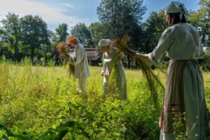 Read more about the article Niedziela z lnem – Muzeum Wsi Lubelskiej 8.IX.