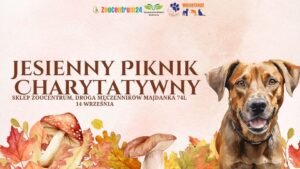 Read more about the article Jesienny Piknik Charytatywny na rzecz Zwierząt w Schronisku Lublin 14.IX.