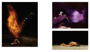 Read more about the article Wystawa Joanny Barczyk „Grafika” – Galeria OKNA 10.X.-12.XI.