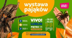 Read more about the article Wystawa Pająków w VIVO – 18.X.-2.III.