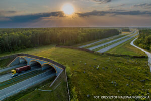 Read more about the article Nowoczesna infrastruktura drogowa… dla zwierząt