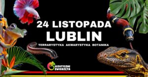 Read more about the article Egzotyczne Zwierzęta – terrarystyka, akwarystyka, botanika – Targi Lublin 24.XI.