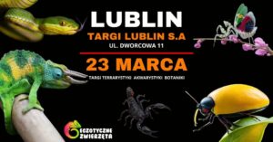 Read more about the article Egzotyczne Zwierzęta – terrarystyka-awkarystyka-botanika – Tagi Lublin 23.III.