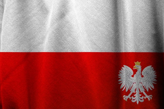 Zdjęcie polskiej flagi wraz z orłem w koronie na czerwonej części.