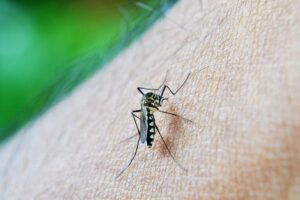 Read more about the article Malaria – gotowi do diagnozy i leczenia?