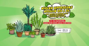 Read more about the article Wielka wyprzedaż roślin –  Outlet Lublin 11-12.IV.