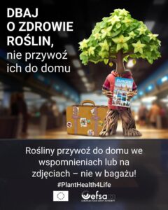 Read more about the article Trzeci rok kampanii #PlantHealth4Life: każdy może zostać ambasadorem zdrowia roślin