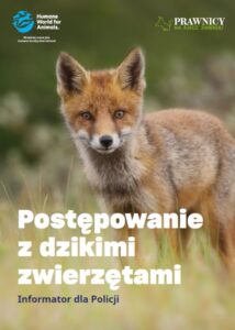 Read more about the article Humane World for Animals Europe szkoli polską policję i prokuraturę jak postępować z dzikimi zwierzętami