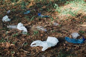 Read more about the article Lasy Państwowe wywiozły w zeszłym roku z lasów 820 tirów śmieci. Kosztowało to 34 mln zł