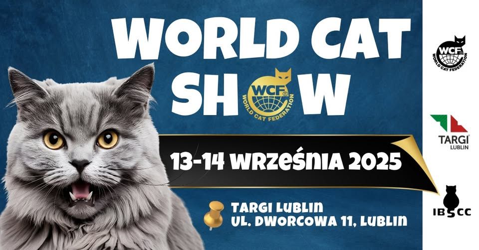 wystawa-kotow-targilublin
