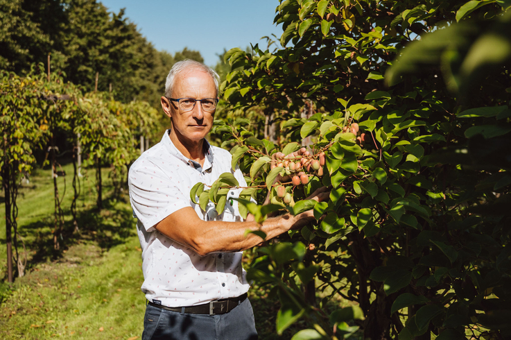 Zdjęcie mężczyzny na plantacji owoców minikiwi