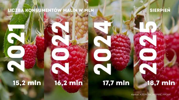 Grafika prezentująca dane na temat konsumpcji malin.