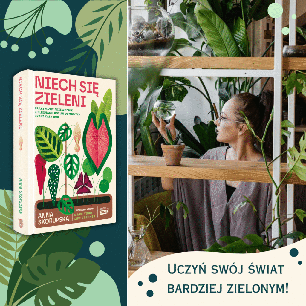 Okładka książki Anny Skorupskiej pt.