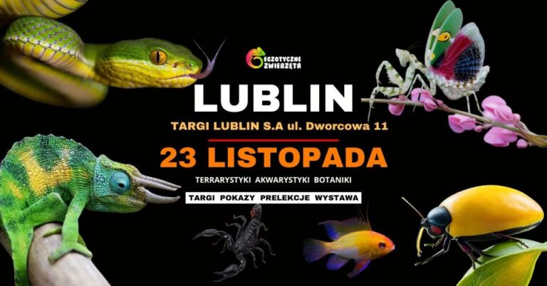 Read more about the article Egzotyczne Zwierzęta – Targi Lublin 23.XI.