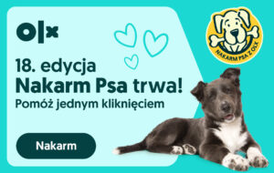 Read more about the article Wraca akcja, która porusza całą Polskę! Startuje 18. edycja Nakarm Psa z OLX