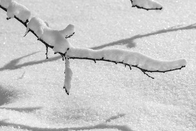 Read more about the article Mróz i bezwietrzna pogoda pogarszają jakość powietrza w Polsce.