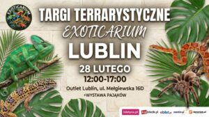 Read more about the article Targi Terrarystyczne Exoticarium – Outlet Lublin 28.II.