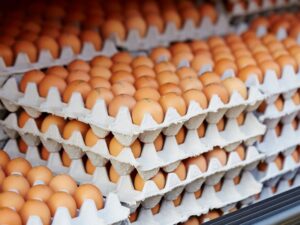 Read more about the article Rewolucja na rynku. Sieci handlowe mówią koniec jajom klatkowym